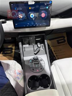 بي واي دي سيل 06 DM-i